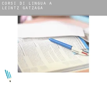 Corsi di lingua a  Leintz-Gatzaga