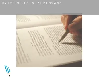 Università a  Albinyana