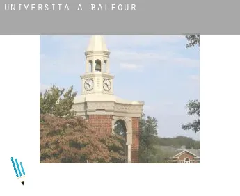Università a  Balfour