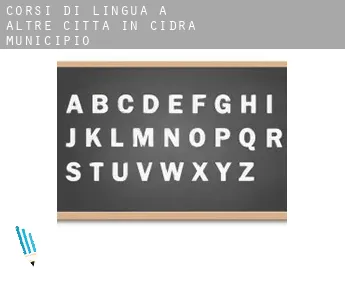 Corsi di lingua a  Altre città in Cidra Municipio