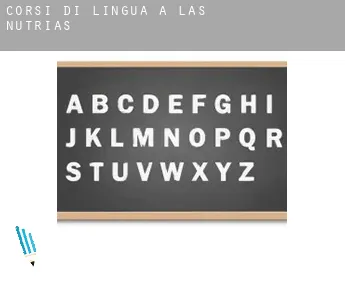 Corsi di lingua a  Las Nutrias