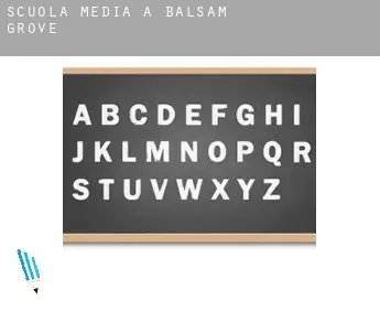 Scuola media a  Balsam Grove