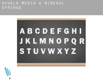 Scuola media a  Mineral Springs