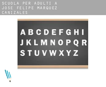 Scuola per adulti a  Municipio José Felipe Márquez Cañizales