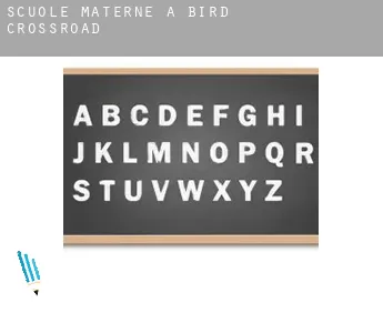 Scuole materne a  Bird Crossroad