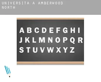 Università a  Amberwood North