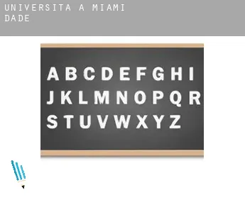 Università a  Miami-Dade County