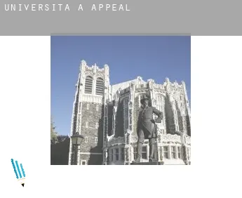 Università a  Appeal