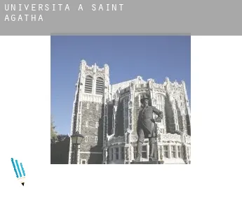 Università a  Saint Agatha