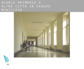 Scuole primarie a  Altre città in Caguas Municipio