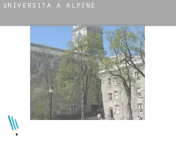 Università a  Alpine