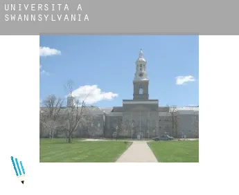 Università a  Swannsylvania