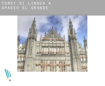 Corsi di lingua a  Apaseo el Grande