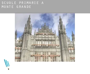 Scuole primarie a  Monte Grande