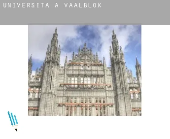 Università a  Vaalblok
