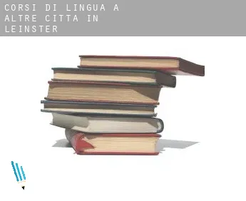 Corsi di lingua a  Altre città in Leinster