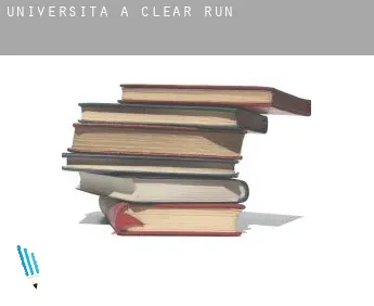 Università a  Clear Run
