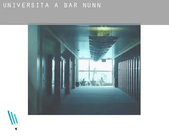 Università a  Bar Nunn
