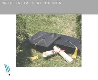 Università a  Accocunca