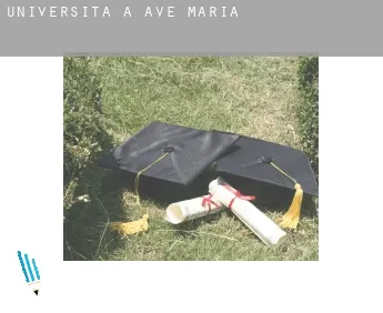 Università a  Ave Maria