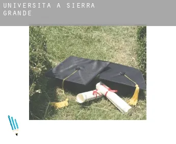 Università a  Sierra Grande