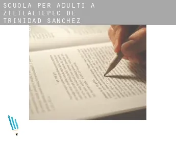 Scuola per adulti a  Ziltlaltepec de Trinidad Sanchez Santos