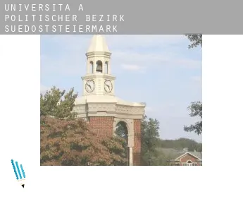 Università a  Politischer Bezirk Suedoststeiermark