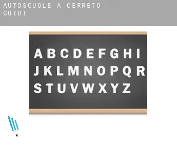 Autoscuole a  Cerreto Guidi