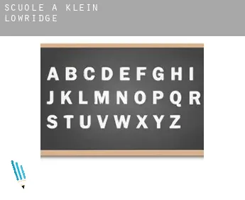 Scuole a  Klein Lowridge