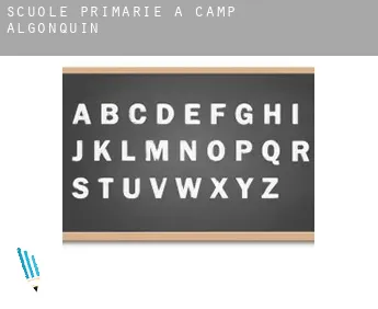 Scuole primarie a  Camp Algonquin