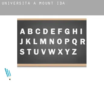 Università a  Mount Ida