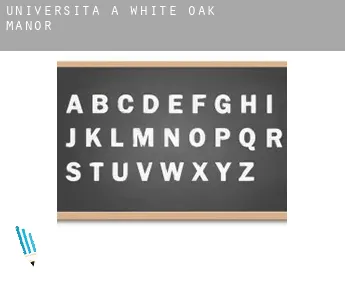 Università a  White Oak Manor
