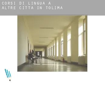 Corsi di lingua a  Altre città in Tolima