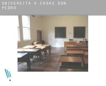 Università a  Casas de Don Pedro