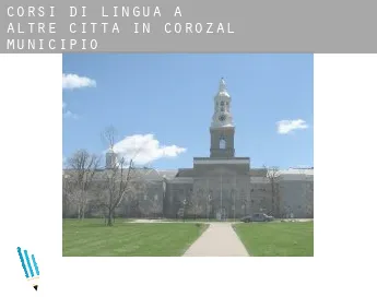 Corsi di lingua a  Altre città in Corozal Municipio