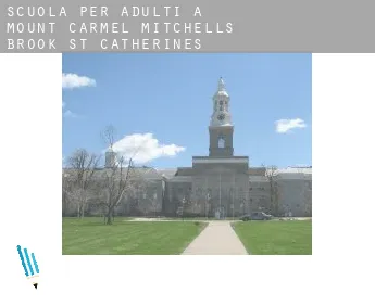 Scuola per adulti a  Mount Carmel-Mitchells Brook-St. Catherines