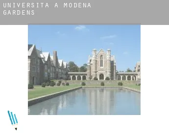 Università a  Modena Gardens