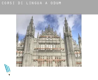 Corsi di lingua a  Odum