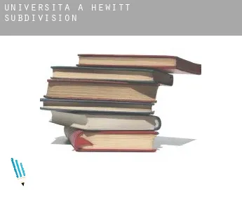 Università a  Hewitt Subdivision