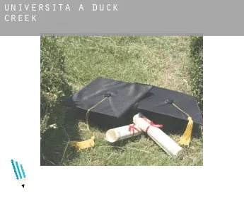 Università a  Duck Creek
