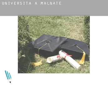 Università a  Malnate
