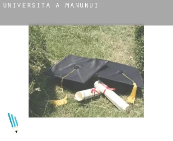 Università a  Manunui