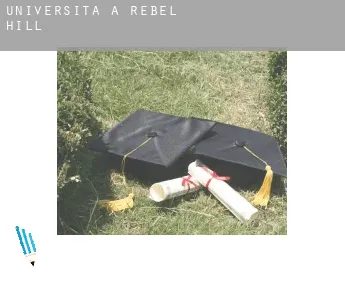 Università a  Rebel Hill