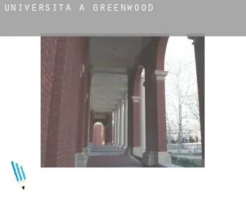 Università a  Greenwood