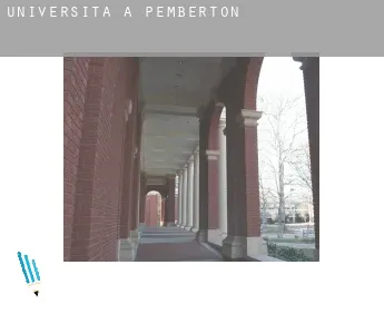 Università a  Pemberton