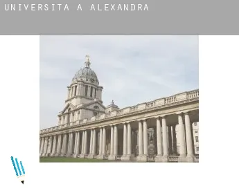 Università a  Alexandra