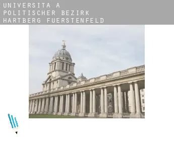 Università a  Politischer Bezirk Hartberg-Fuerstenfeld