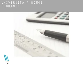 Università a  Nomós Florínis