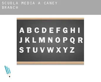 Scuola media a  Caney Branch