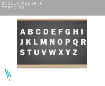 Scuola media a  Tepealtı